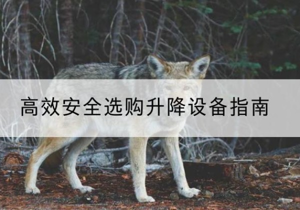 喀喇沁旗升降货梯厂家推荐-*安全选购升降设备指南