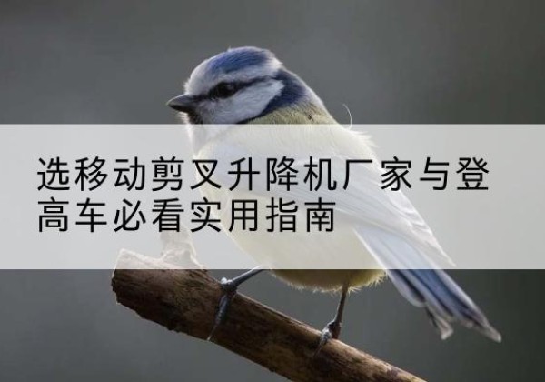 喀喇沁旗电动升降机厂家-选移动剪叉升降机厂家与登高车必看实用指南